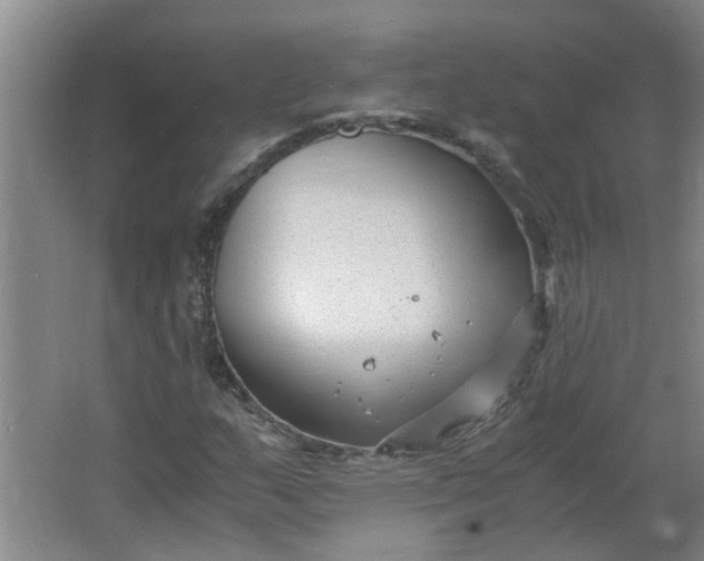 X0000066101159200603241511