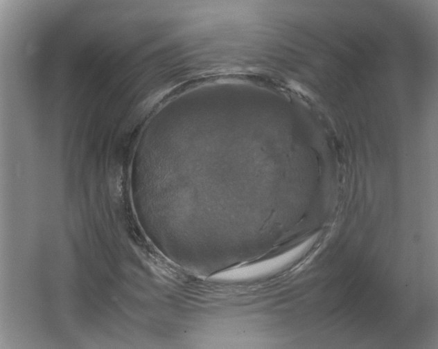 X0000066101161200603241511