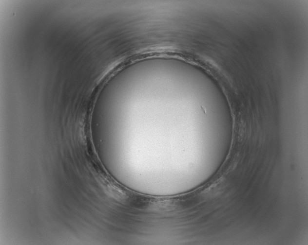 X0000066101162200603241511