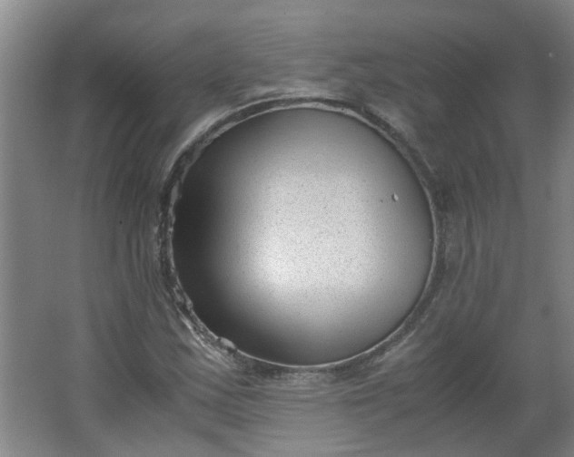 X0000066101163200603241510