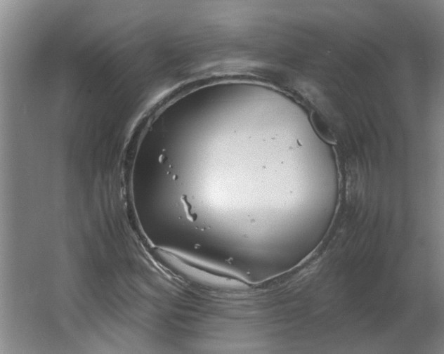 X0000066101164200603241510