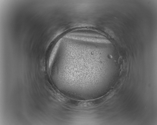 X0000066101165200603241510