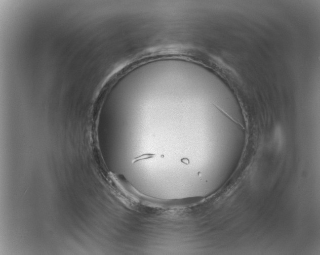 X0000066101166200603241510