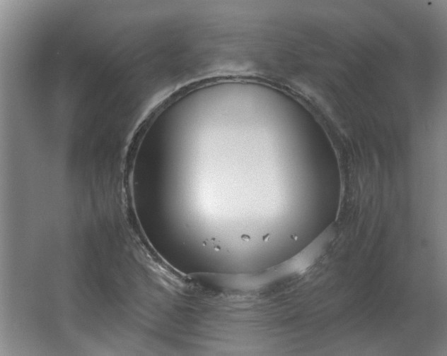 X0000066101168200603241510