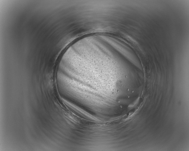 X0000066101170200603241510