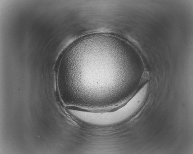 X0000066101171200603241510