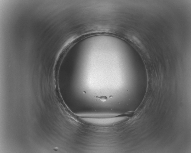 X0000066101172200603241510