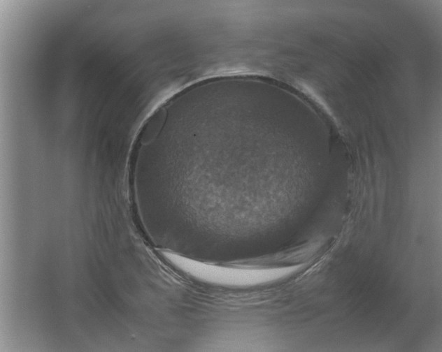 X0000066101173200603241510