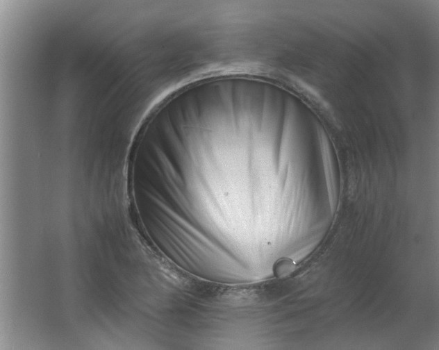 X0000066101174200603241510