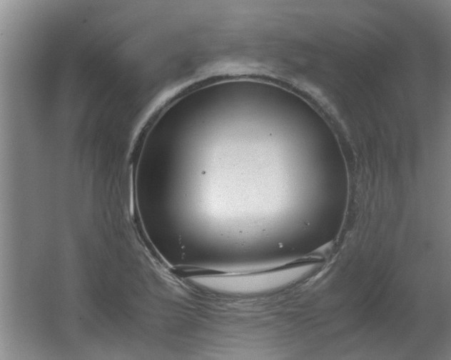 X0000066101175200603241510