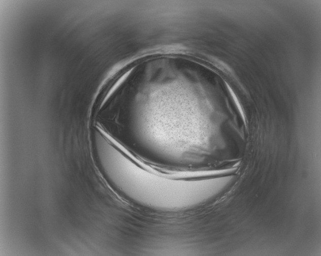 X0000066101176200603241510