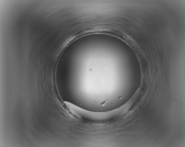 X0000066101177200603241510