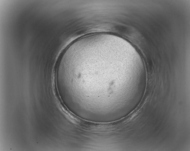 X0000066101179200603241510