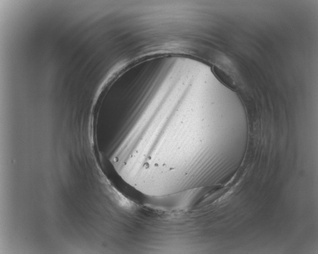 X0000066101180200603241510