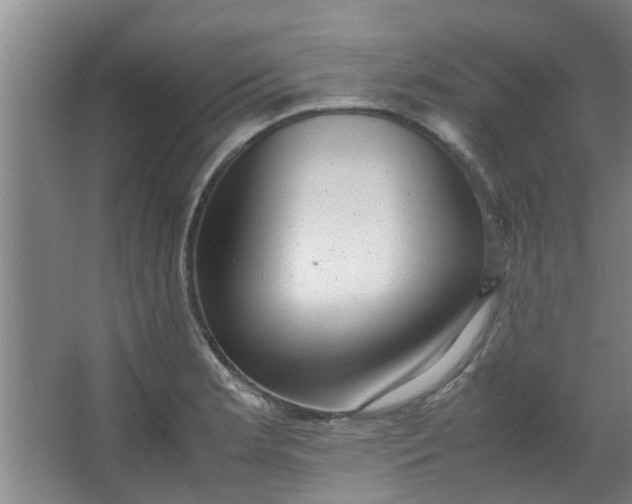 X0000066101181200603241510