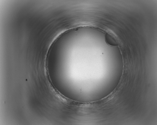 X0000066101182200603241510