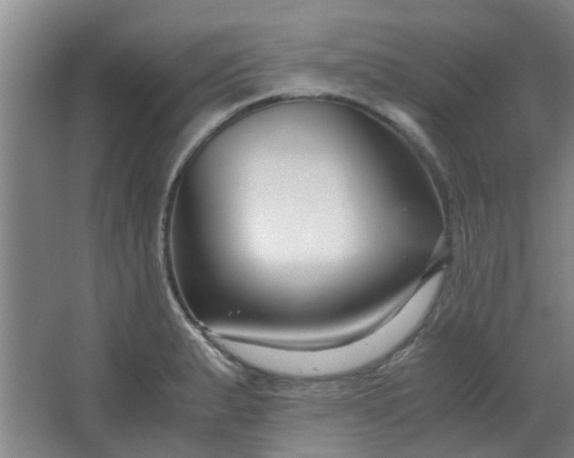 X0000066101183200603241510