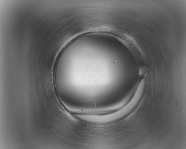 X0000066101184200603241510