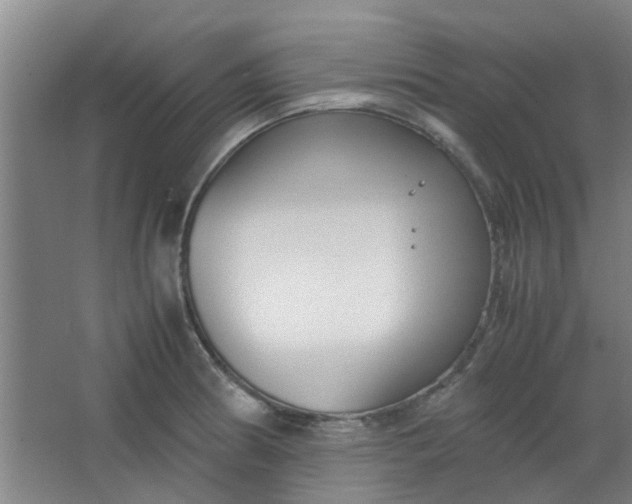 X0000066101186200603241510