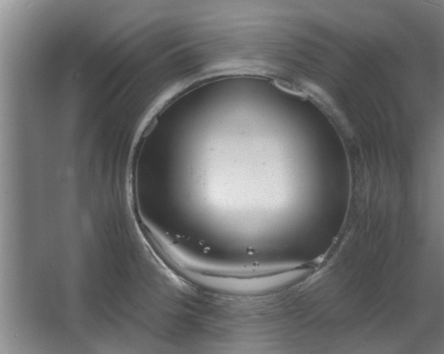 X0000066101188200603241510