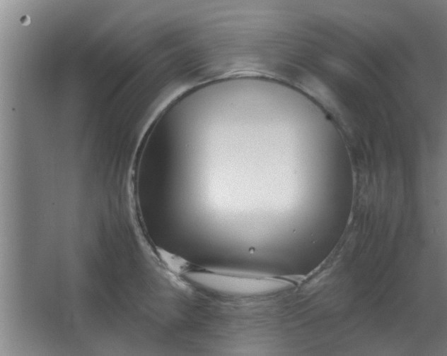 X0000066101190200603241510