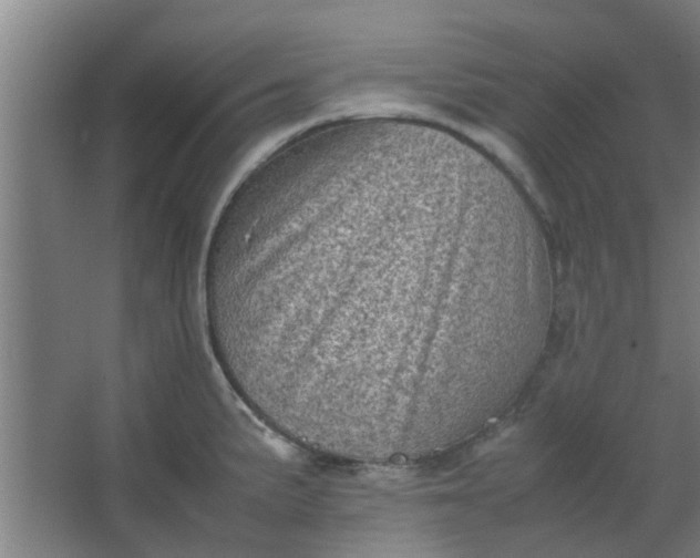 X0000066101191200603241510