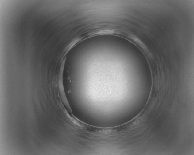 X0000066101193200603241510