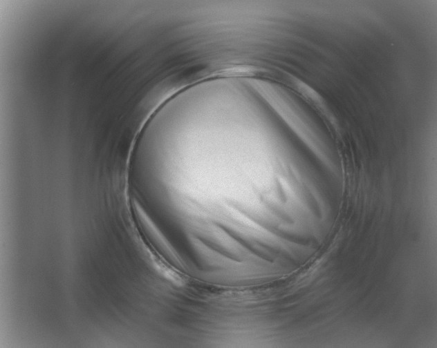 X0000066101194200603241510