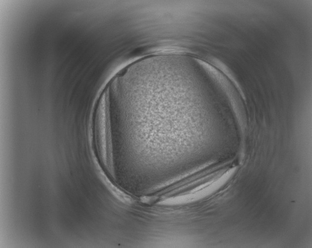 X0000066101195200603241510