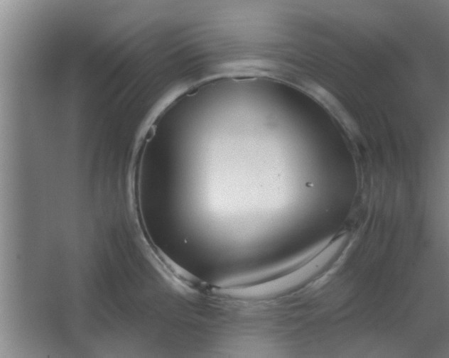 X0000066101196200603241510