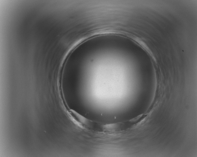 X0000066101197200603241510