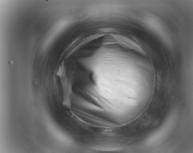 X0000066101198200603241510