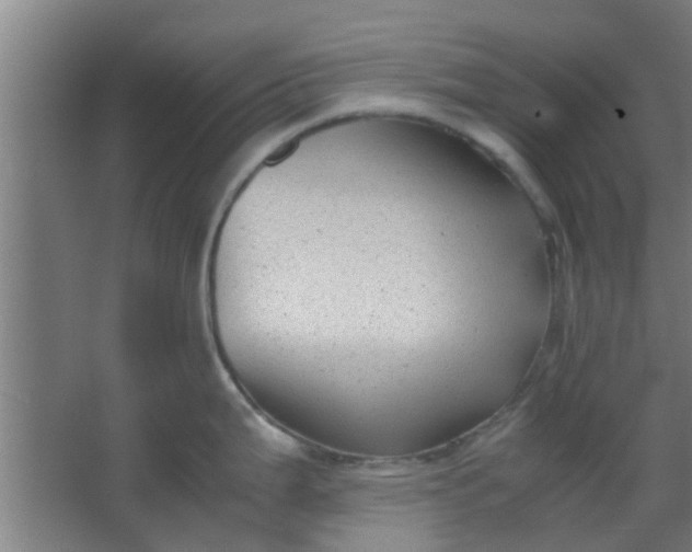 X0000066101199200603241510