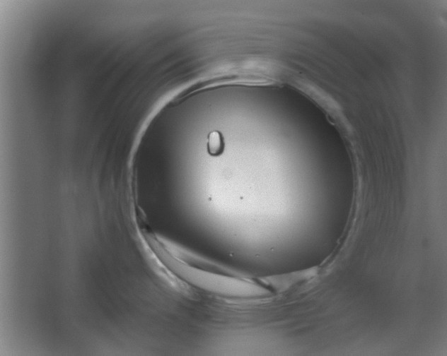 X0000066101200200603241510