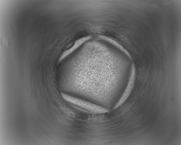 X0000066101201200603241509