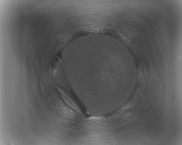 X0000066101202200603241509