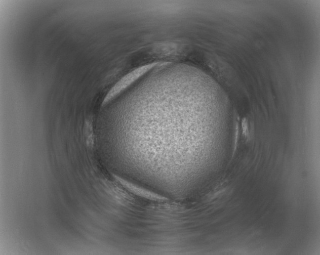 X0000066101203200603241509