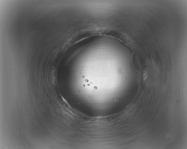 X0000066101204200603241509