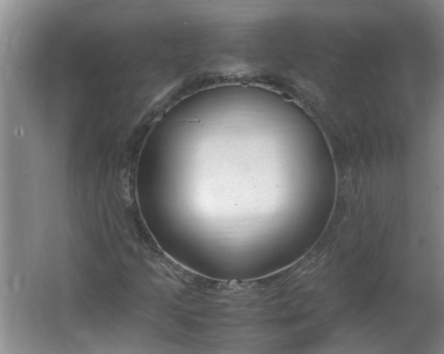 X0000066101205200603241509