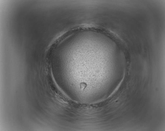 X0000066101207200603241509