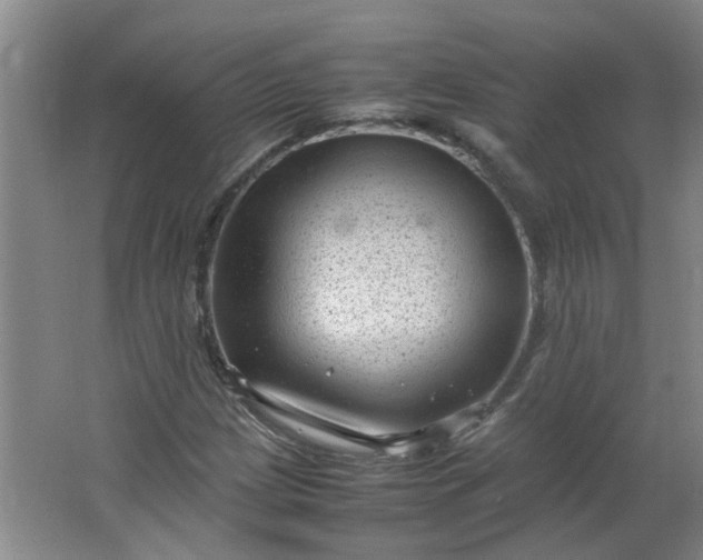 X0000066101209200603241509