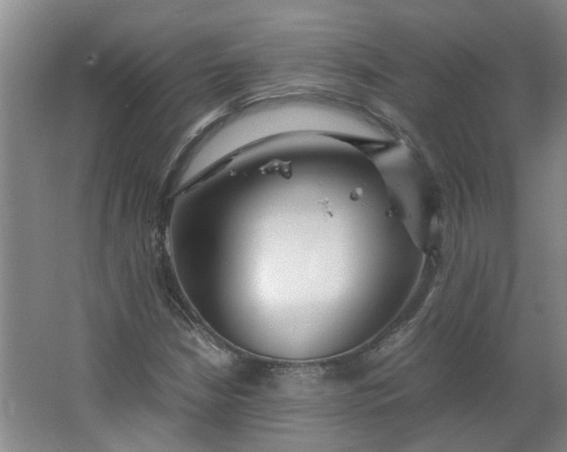 X0000066101210200603241509