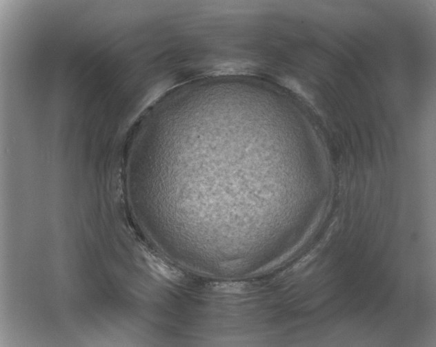 X0000066101211200603241509