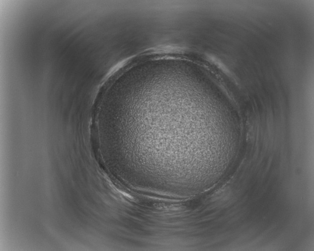 X0000066101213200603241509