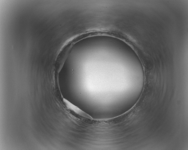 X0000066101214200603241509