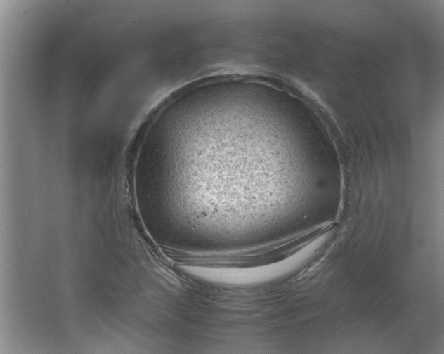 X0000066101215200603241509