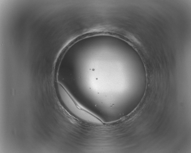 X0000066101216200603241509