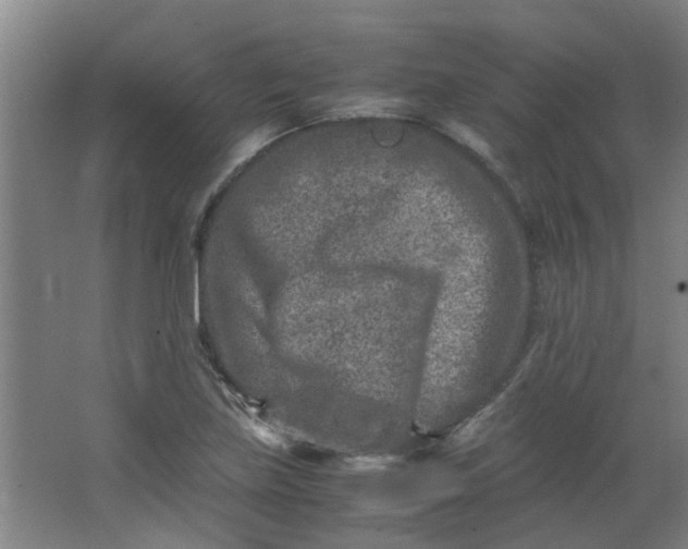 X0000066101219200603241509