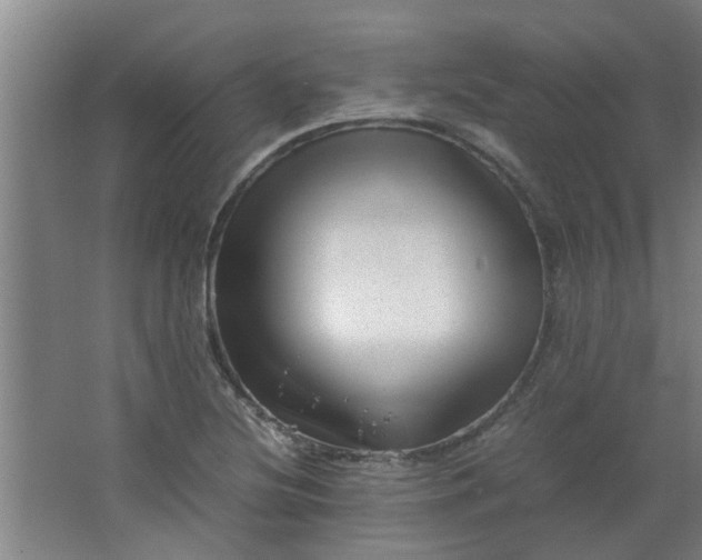 X0000066101220200603241509