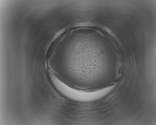 X0000066101221200603241509